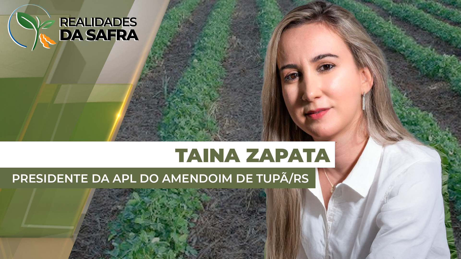 Clima e crédito afetam produtores e Tupã/SP deve reduzir área de amendoim