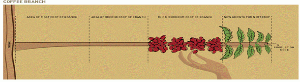 Imagem 4 - Marco Antônio Jacob