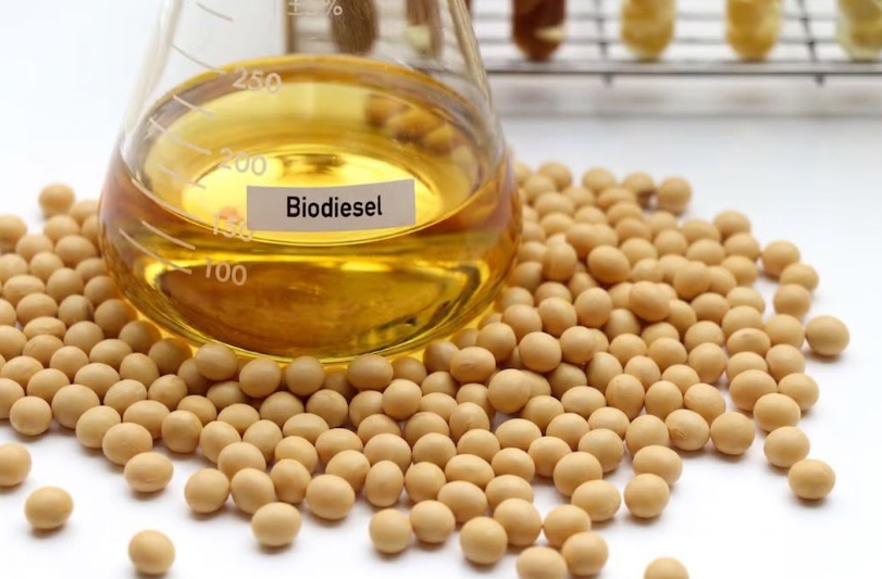 Biodiesel amplia demanda por soja e abre novas frentes para processamento e geração de valor no Brasil