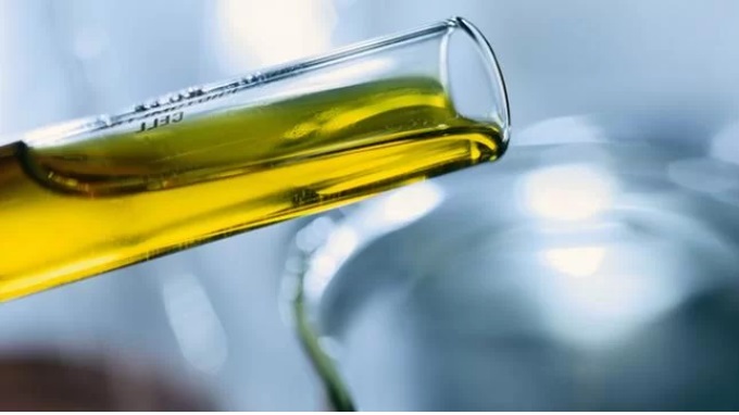 Exclusão de biodiesel de leilão de energia suspende investimento de R$500 mi, diz Binatural