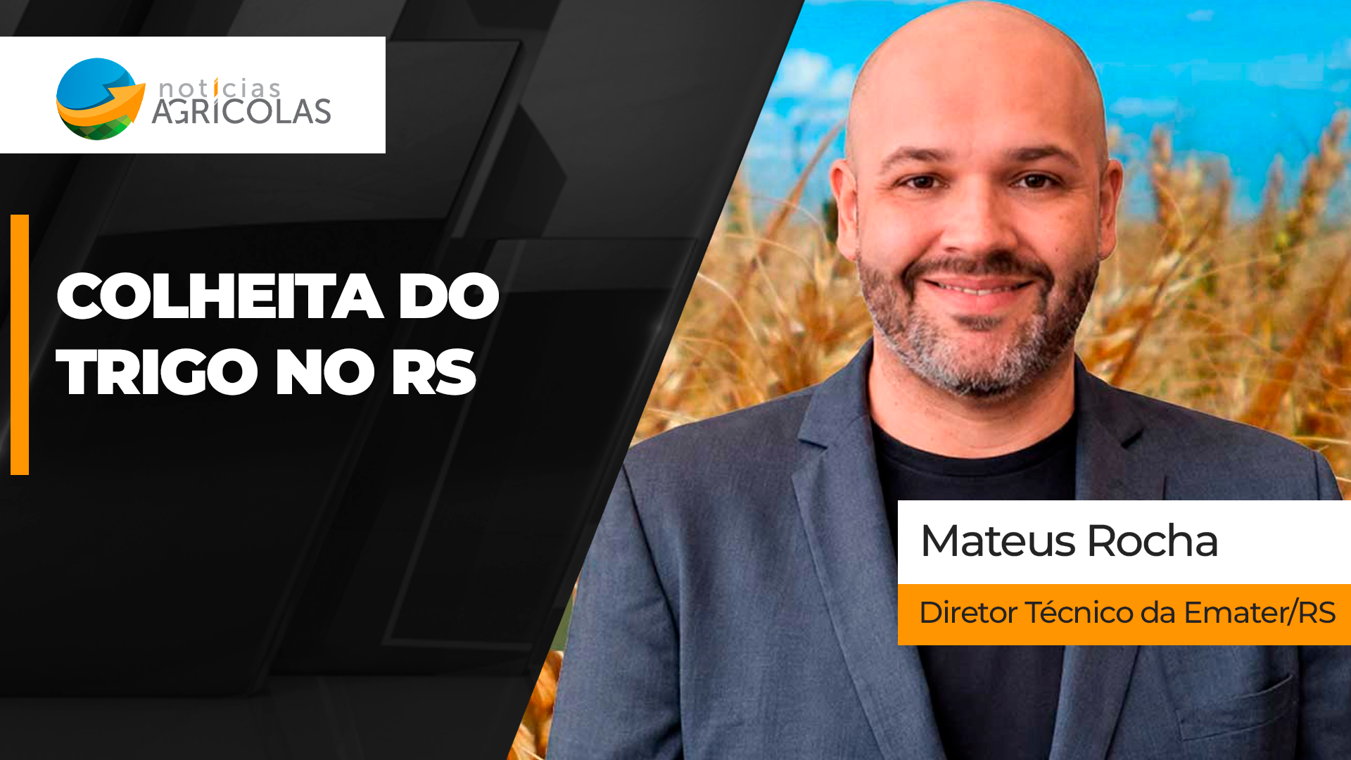 Condições climáticas foram favoráveis para o trigo no RS, mas desenvolvimento da cultura é desuniforme