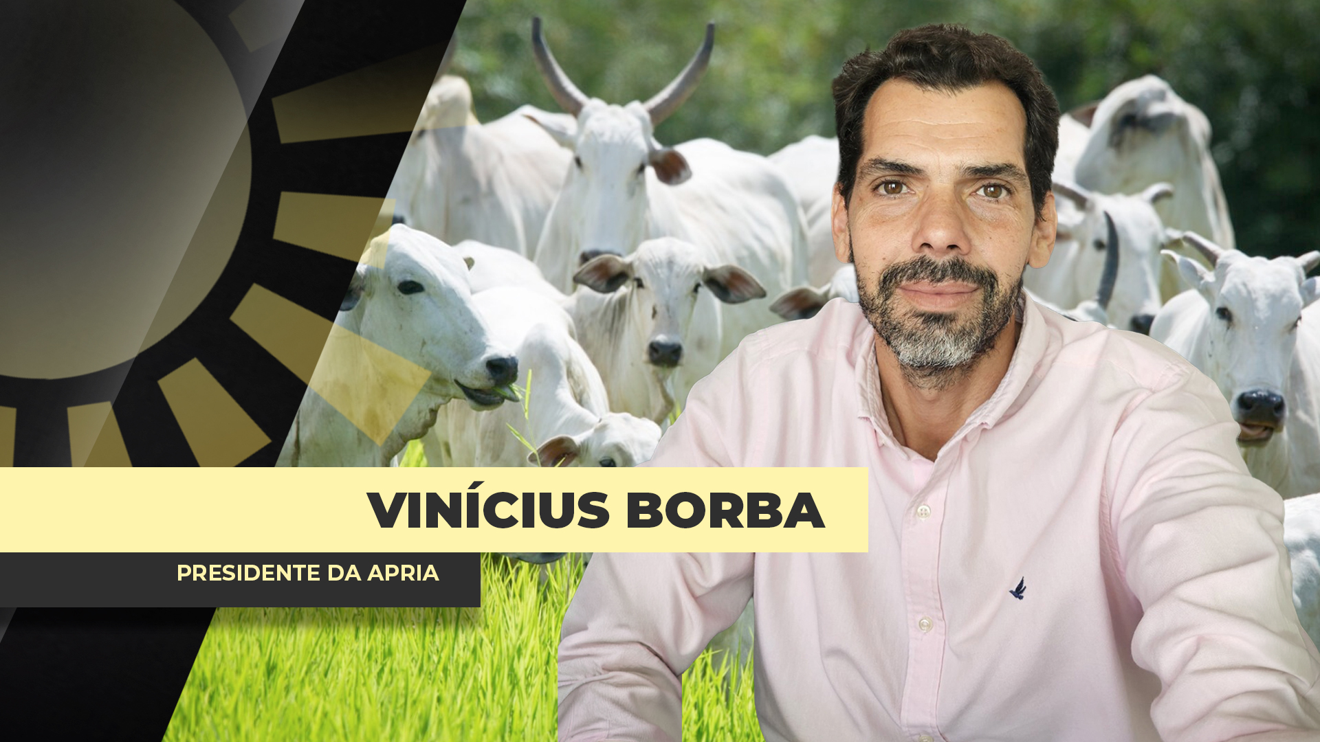 ENTREVISTA BOM DIA AGRO COM - Dr. Vinícius Borba - Advogado