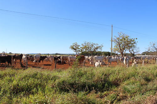 Fazenda Furna da Estrela 20
