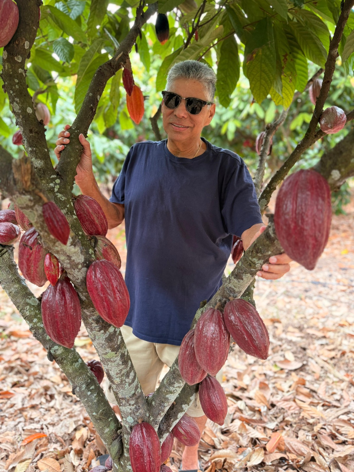Nova Lei do Chocolate é uma vitória para o consumidor e para o cacau brasileiro