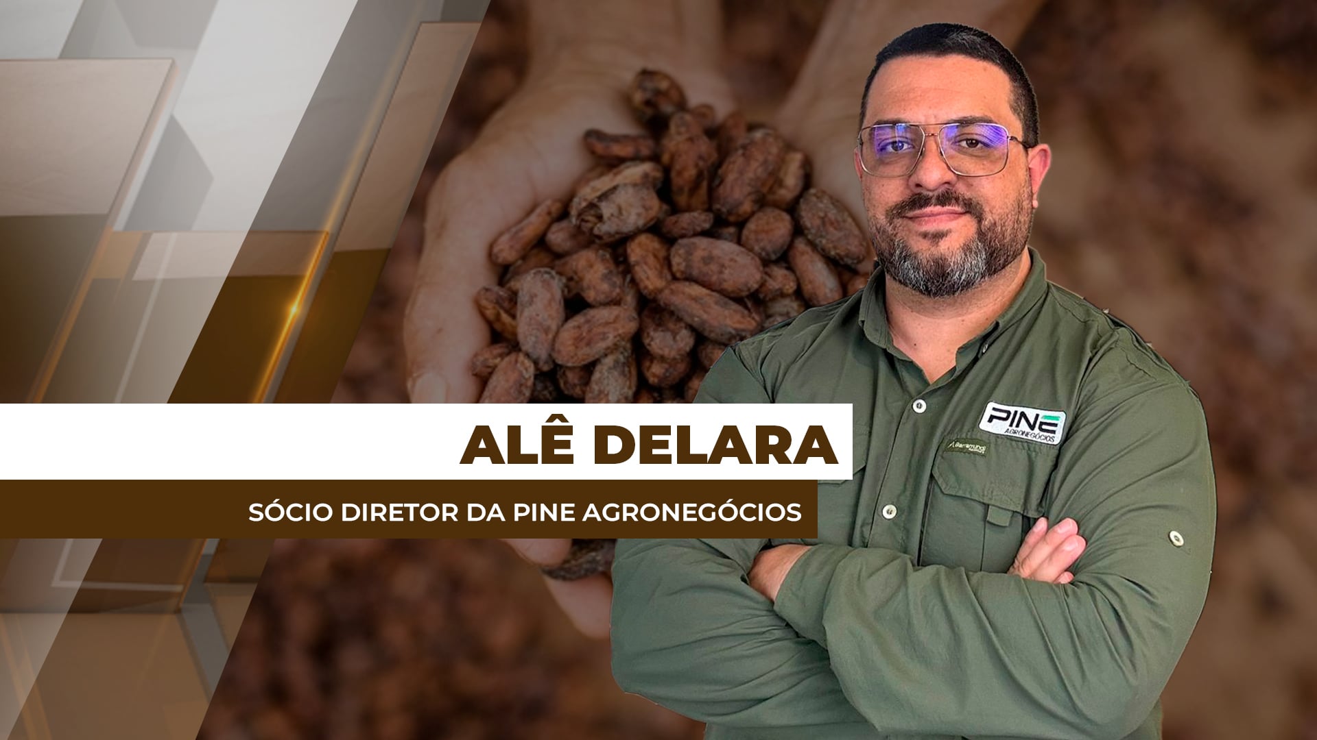 Cacau em queda histórica deixa áreas produtoras em alerta para os preços