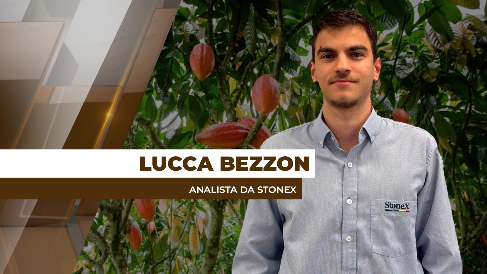 Após alta volatilidade, preços internacionais do cacau buscam estabilidade