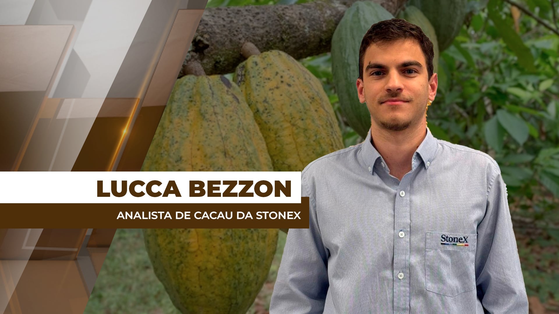 Mercado de cacau passa a considerar possível superávit Mercado de cacau passa a considerar possível superávit