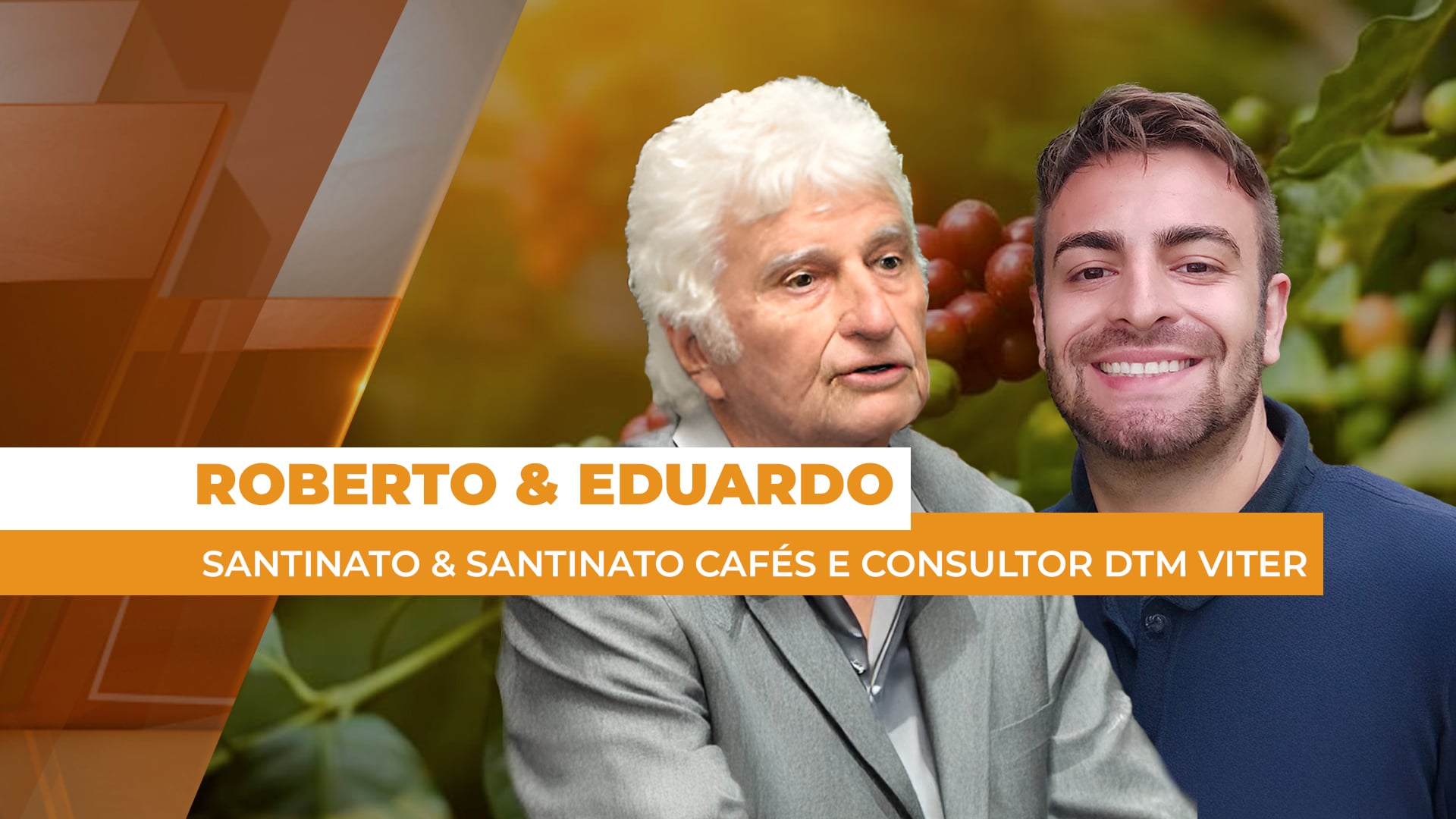 Correção do solo e nutrição no Café: avanços e referências para altas produtividades