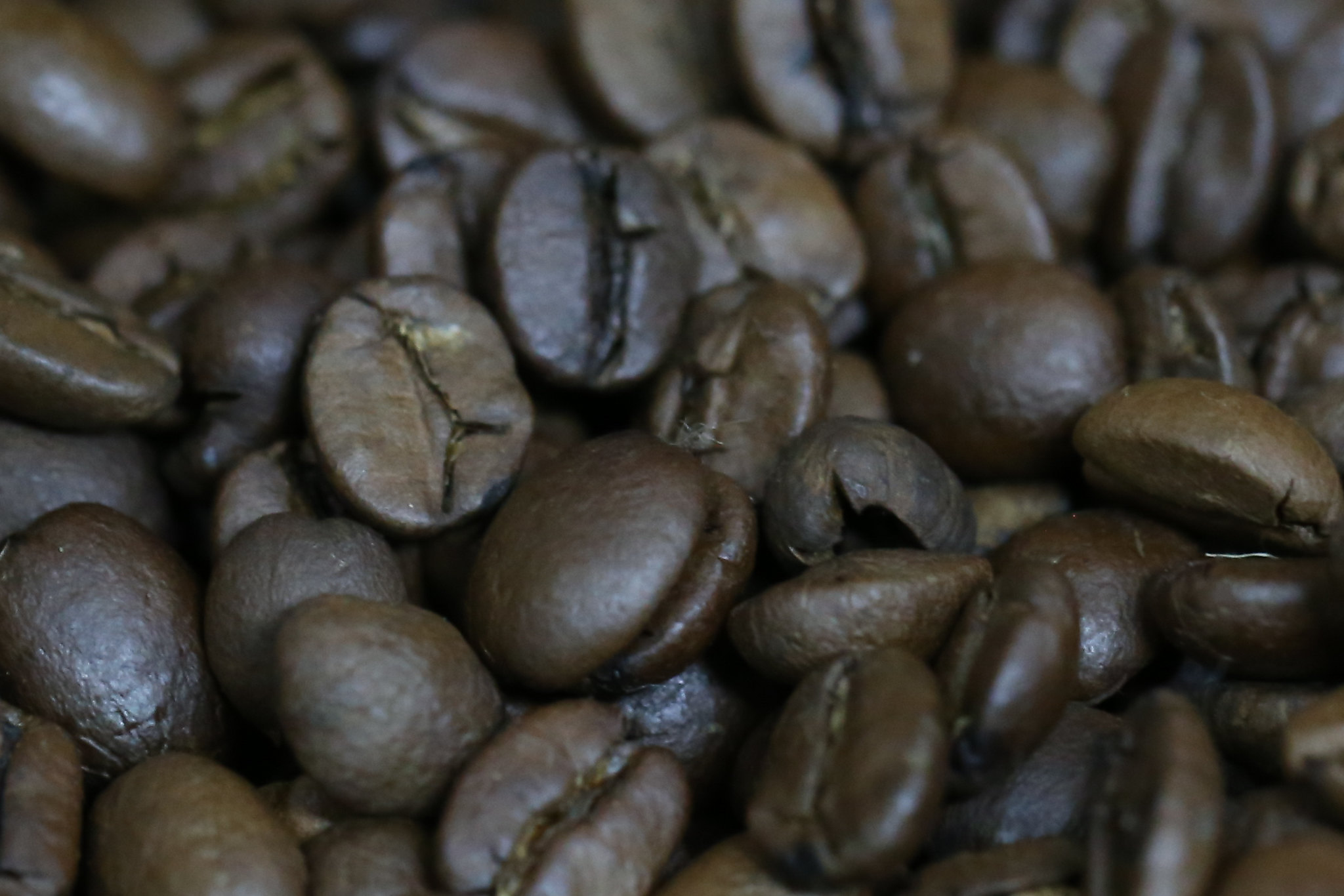 Mercado do café despenca e devolve parte dos ganhos da véspera