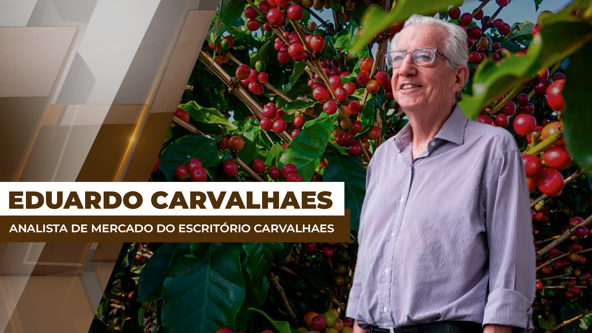 A realidade é que não temos café sobrando no Brasil e nem no mundo", afirma analista