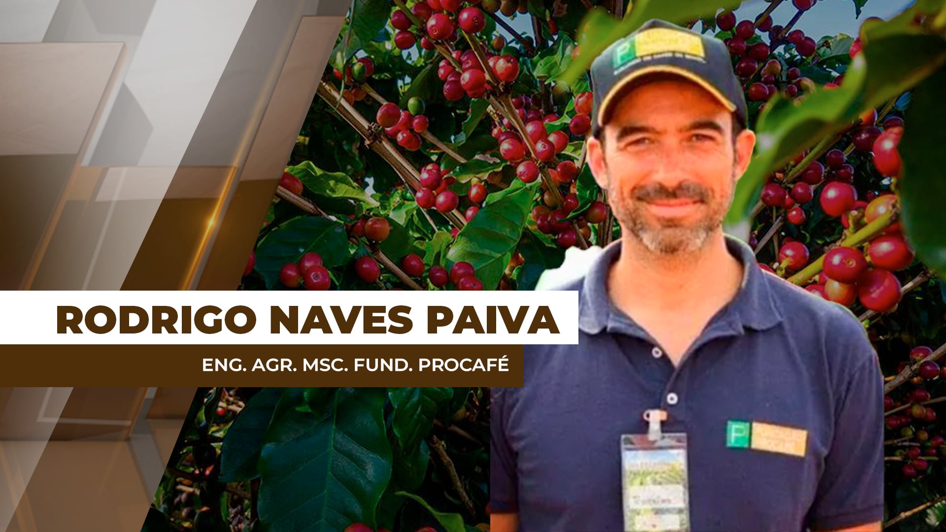 Retorno das chuvas no Sul de Minas Gerais traz certo alívio as lavouras de café