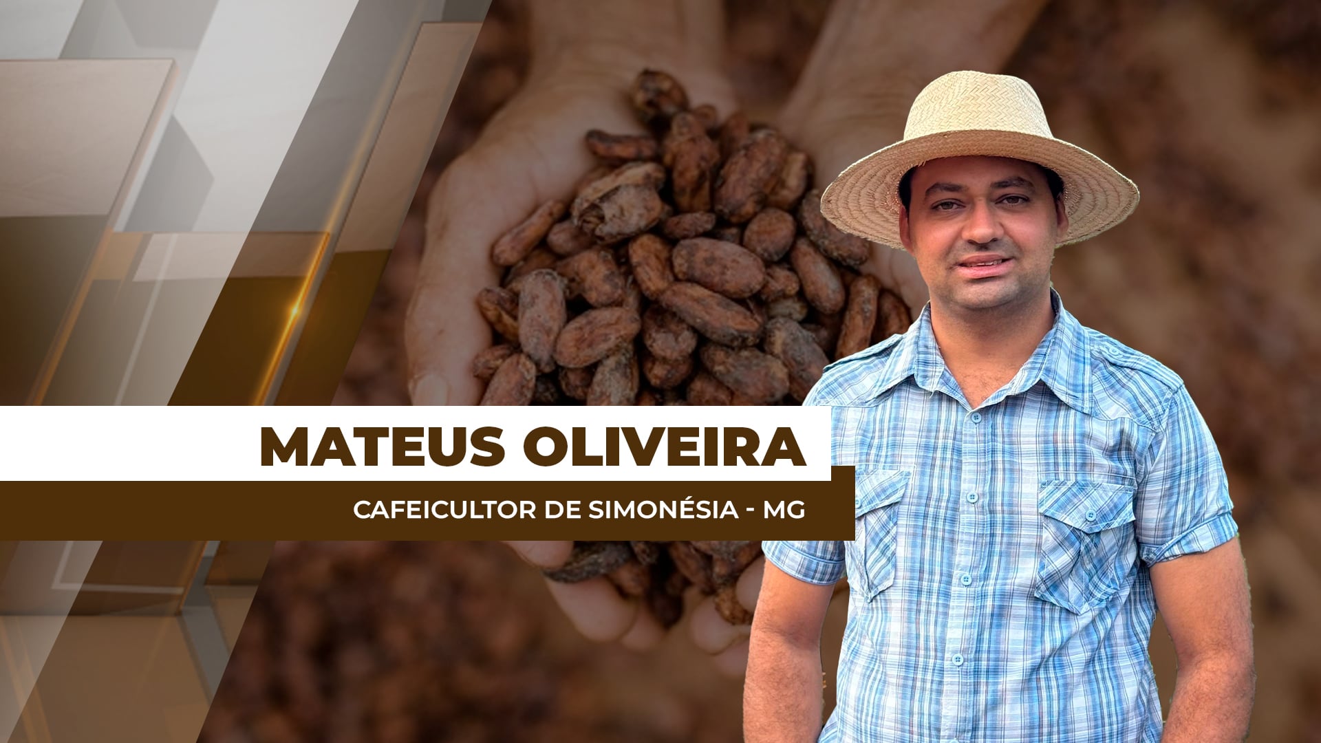 Baixo pegamento das floradas do café vem ocasionando podas tardias na região da Zona da Mata de MG Baixo pegamento das floradas do café vem ocasionando podas tardias na região da Zona da Mata de MG