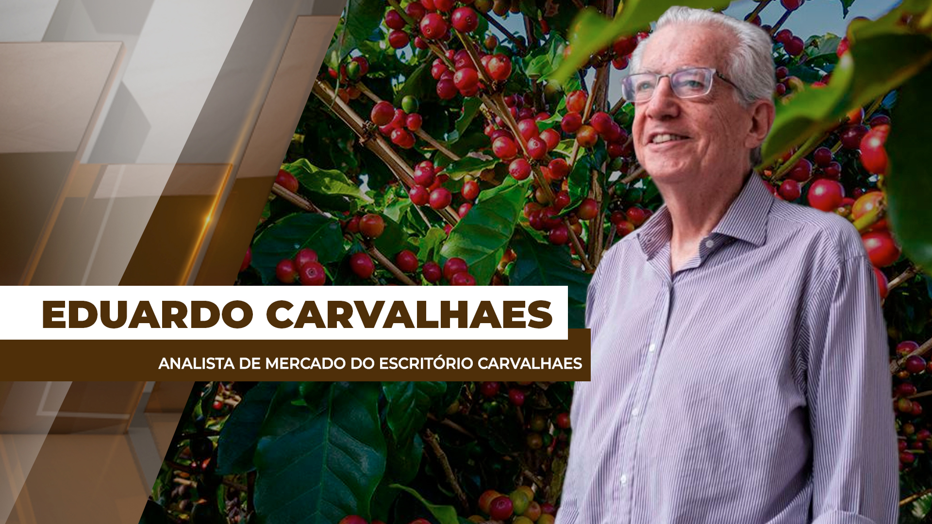 Entre a safra e os riscos, café continua pressionado