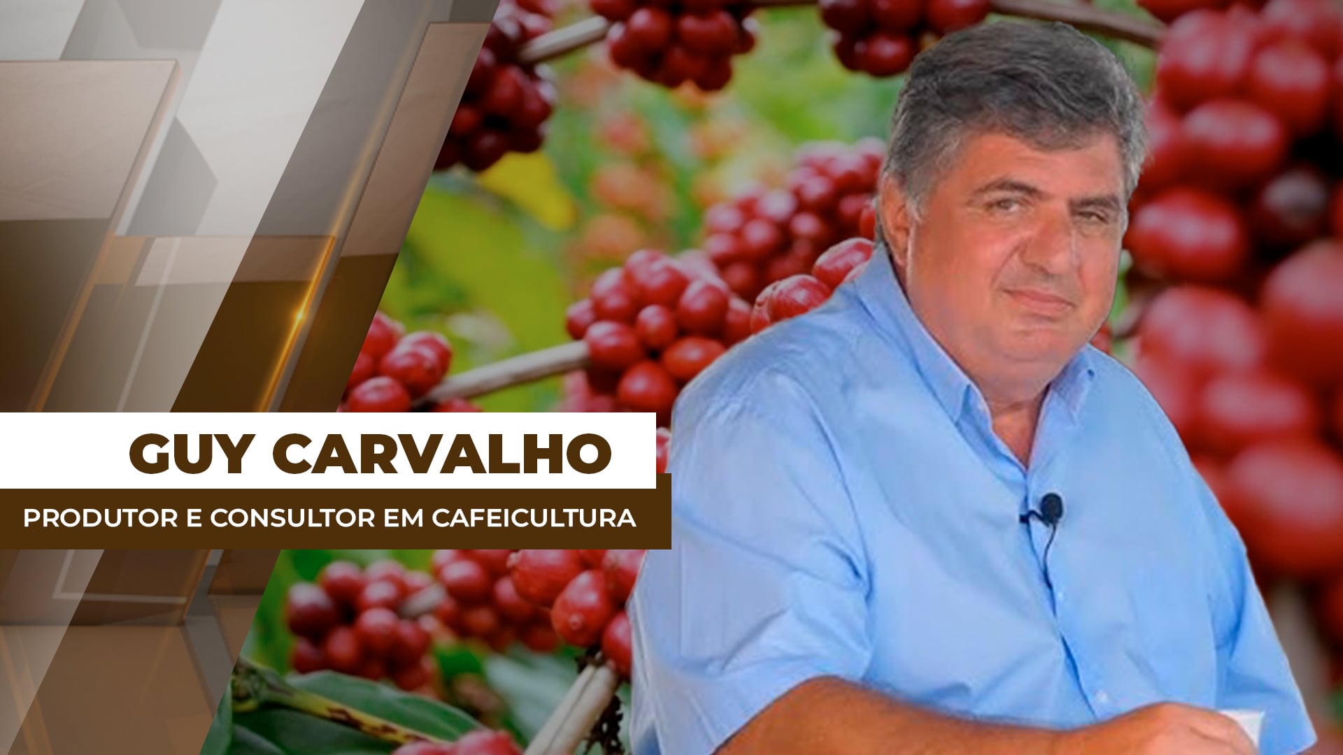 Safra/26 de café especial no BR segue com bom potencial produtivo e de qualidade