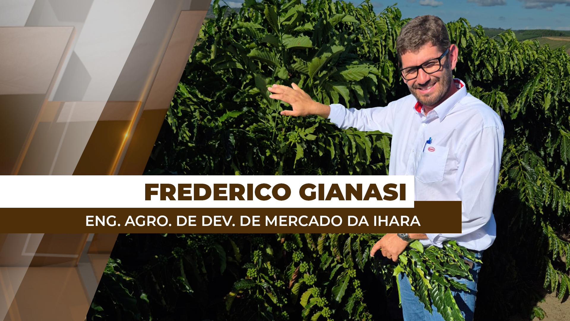 Boas práticas agrícolas asseguram frutos de qualidade e alta produtividade do café