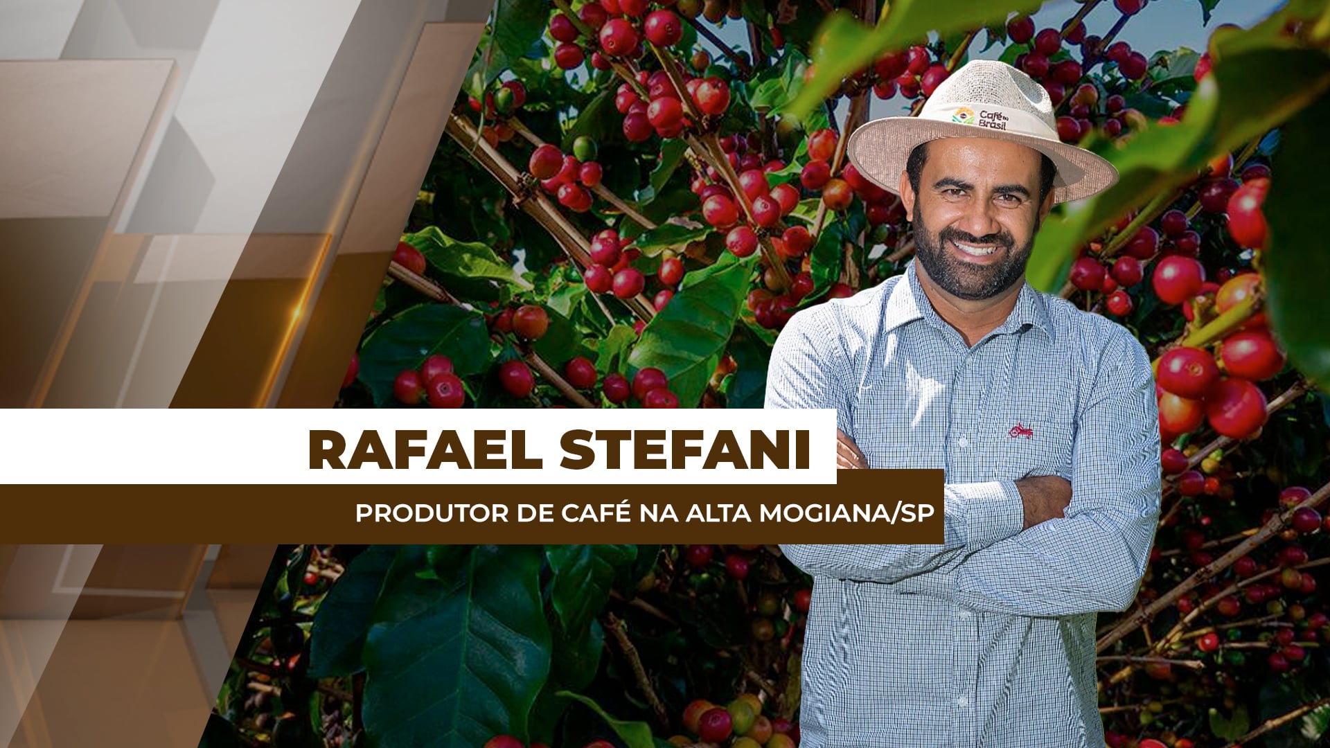 Região da Alta Mogiana registra boa florada do café, mas qualidade da próxima safra preocupa os produtores