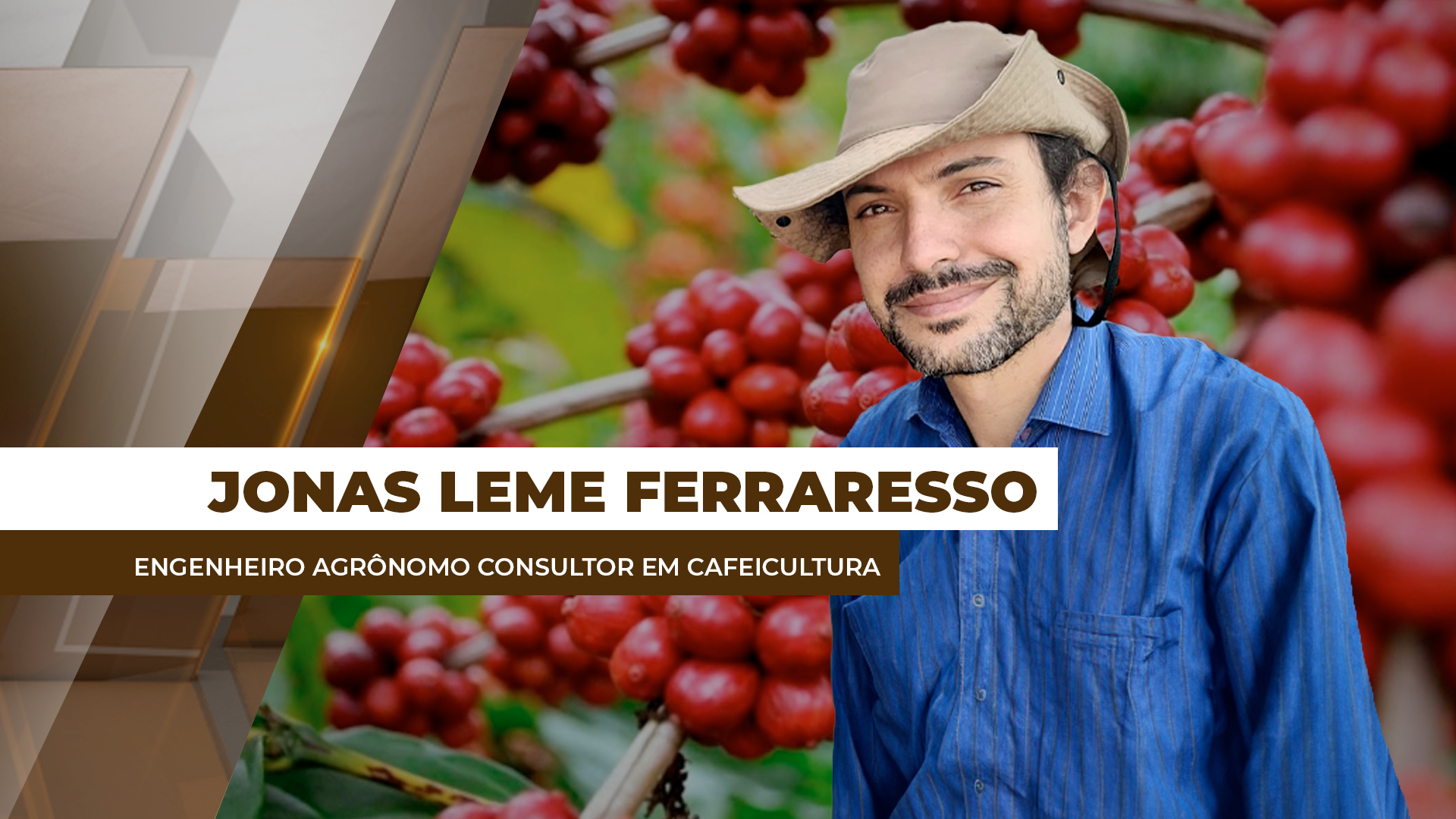 Potencial produtivo da próxima safra brasileira de café depende das chuvas pós-florada