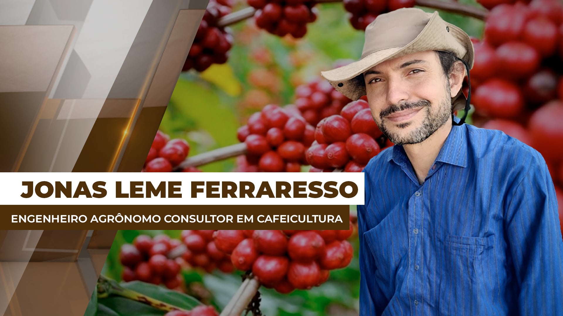 Safra/26 brasileira de café tem apresentado cenários distintos para o desenvolvimento dos frutos