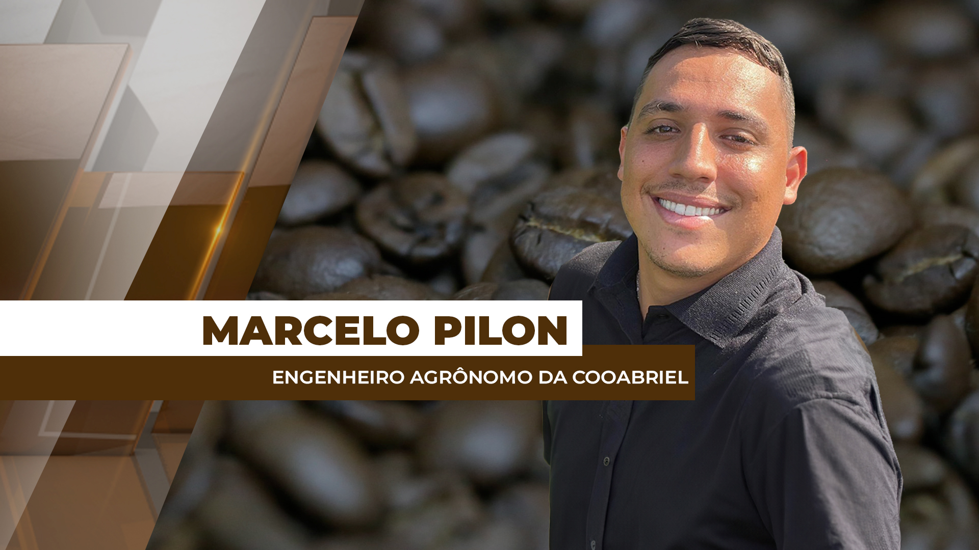 Momento exige atenção ao controle da cochonilha no café conilon Momento exige atenção ao controle da cochonilha no café conilon