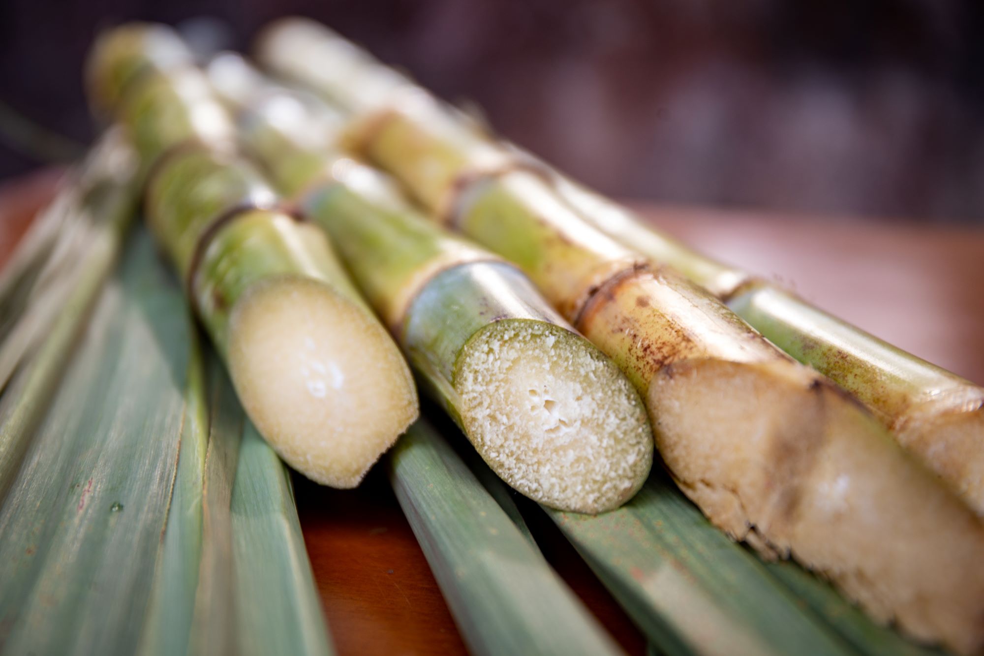Moagem de cana no Norte e Nordeste sobe, com alta na produção de etanol e queda no volume de açúcar