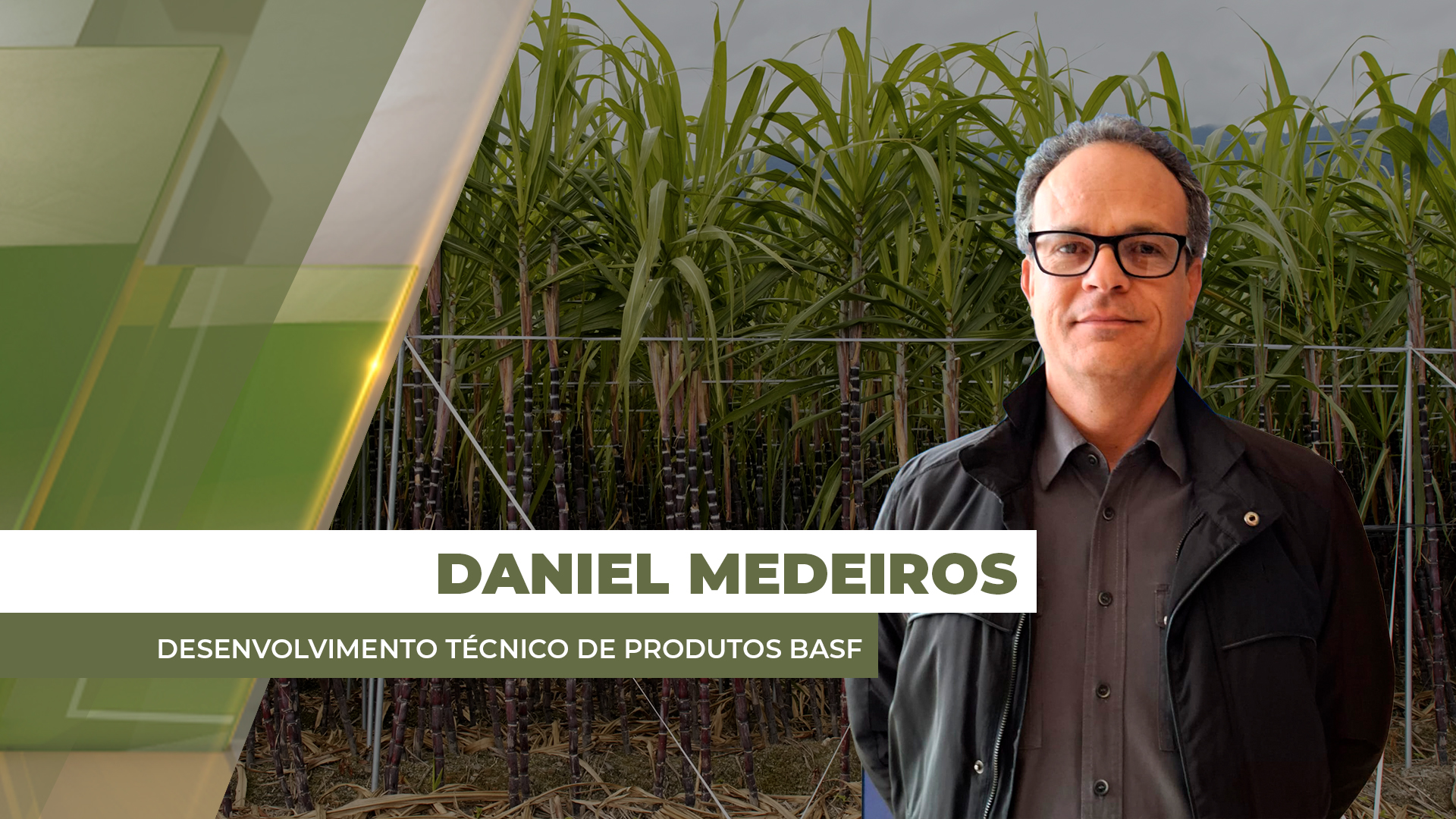 Combate aos nematóides e o papel dos biológicos na alta produtividade
