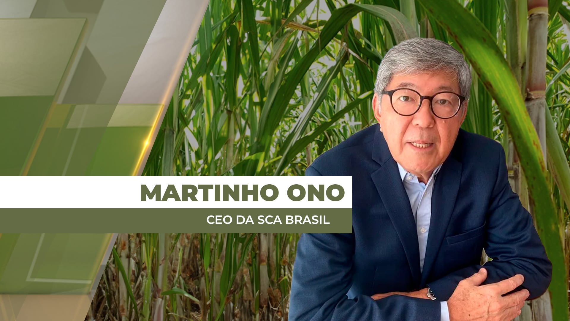 Projeções para a safra e os desafios de gestão para a cana 26/27