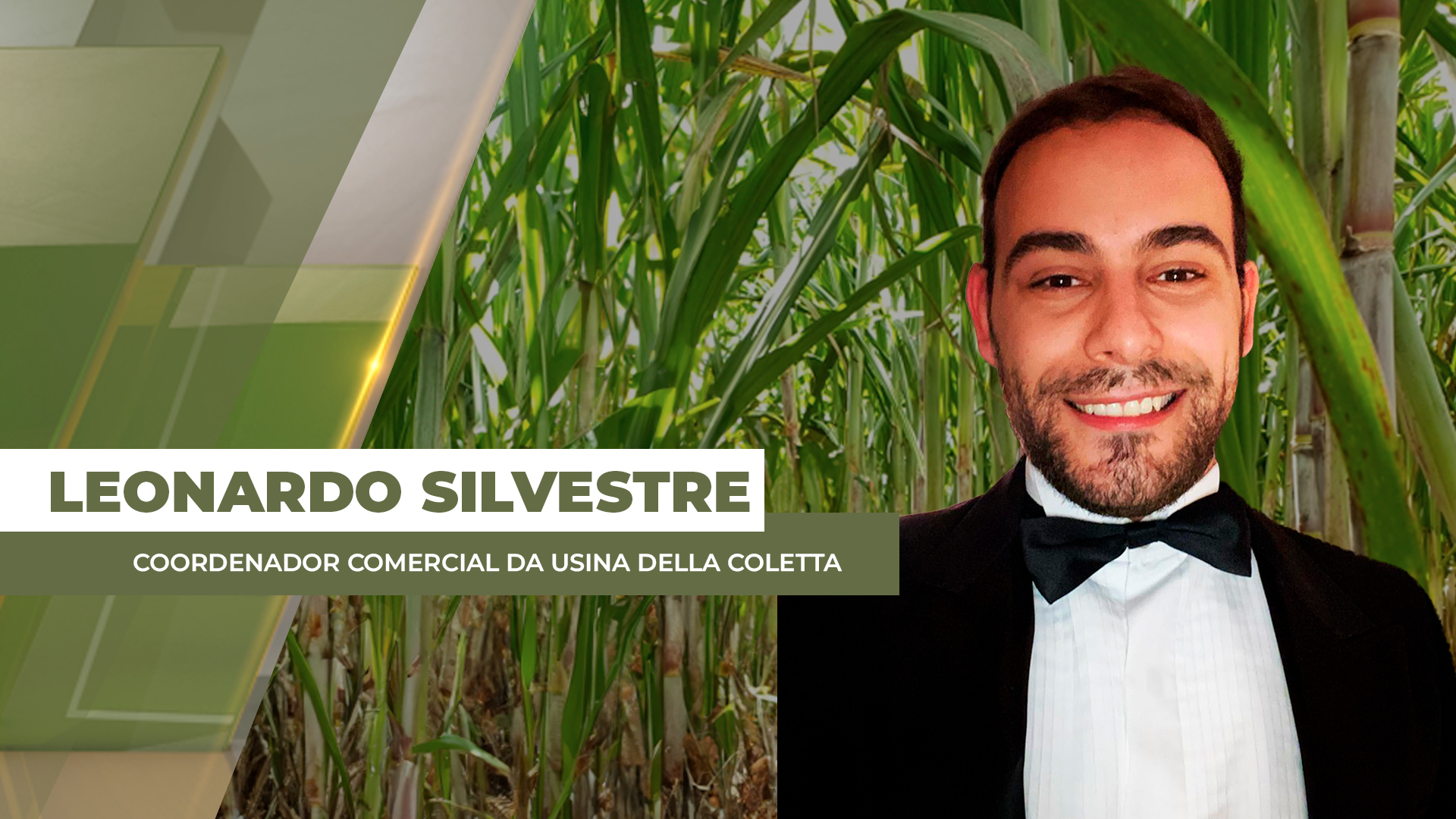 Mercado sobe após indefinições das exportações de açúcar da Índia