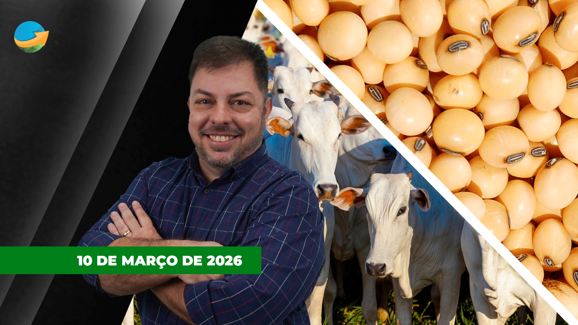 O dia foi de reversão de alta para baixa para soja e milho em Chicago; boi inicia semana com pressão sobre arroba