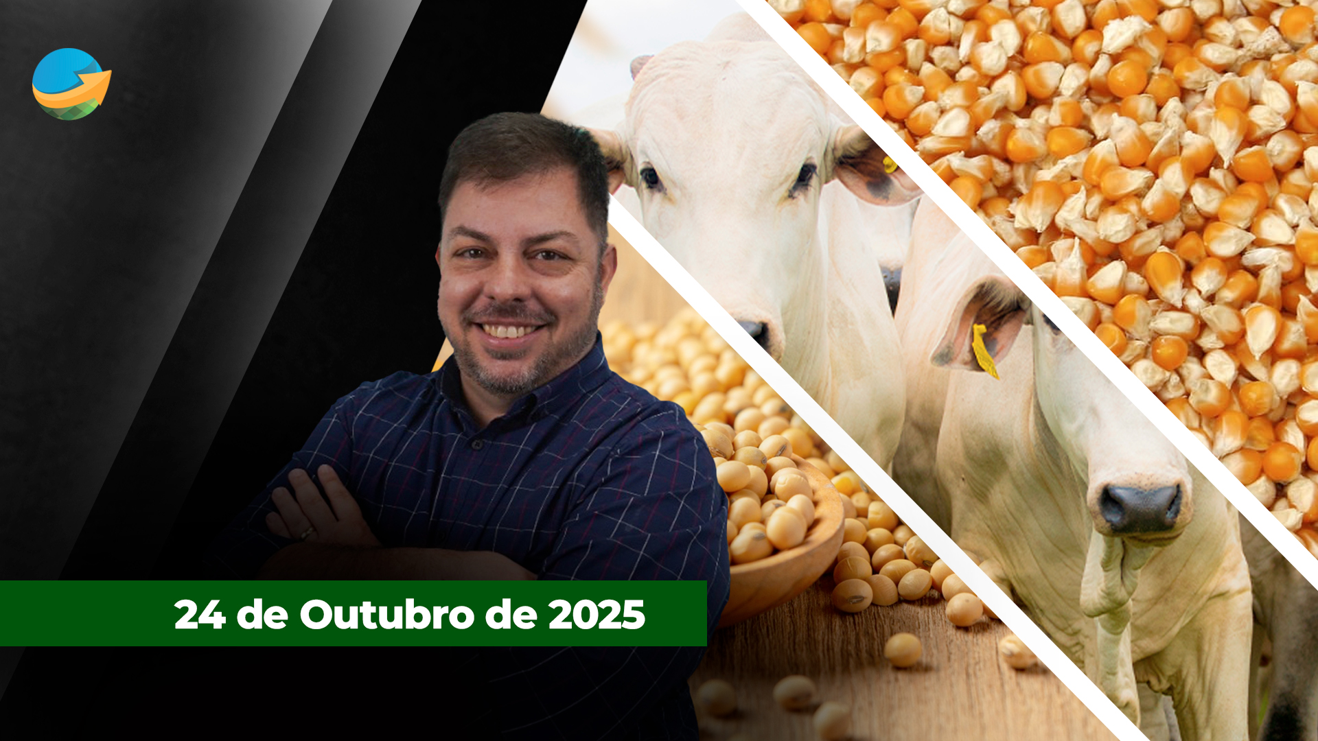 Semana de alta generalizada para o boi gordo, inclusive em SP; Soja e milho tem dia realização de lucros em Chicago