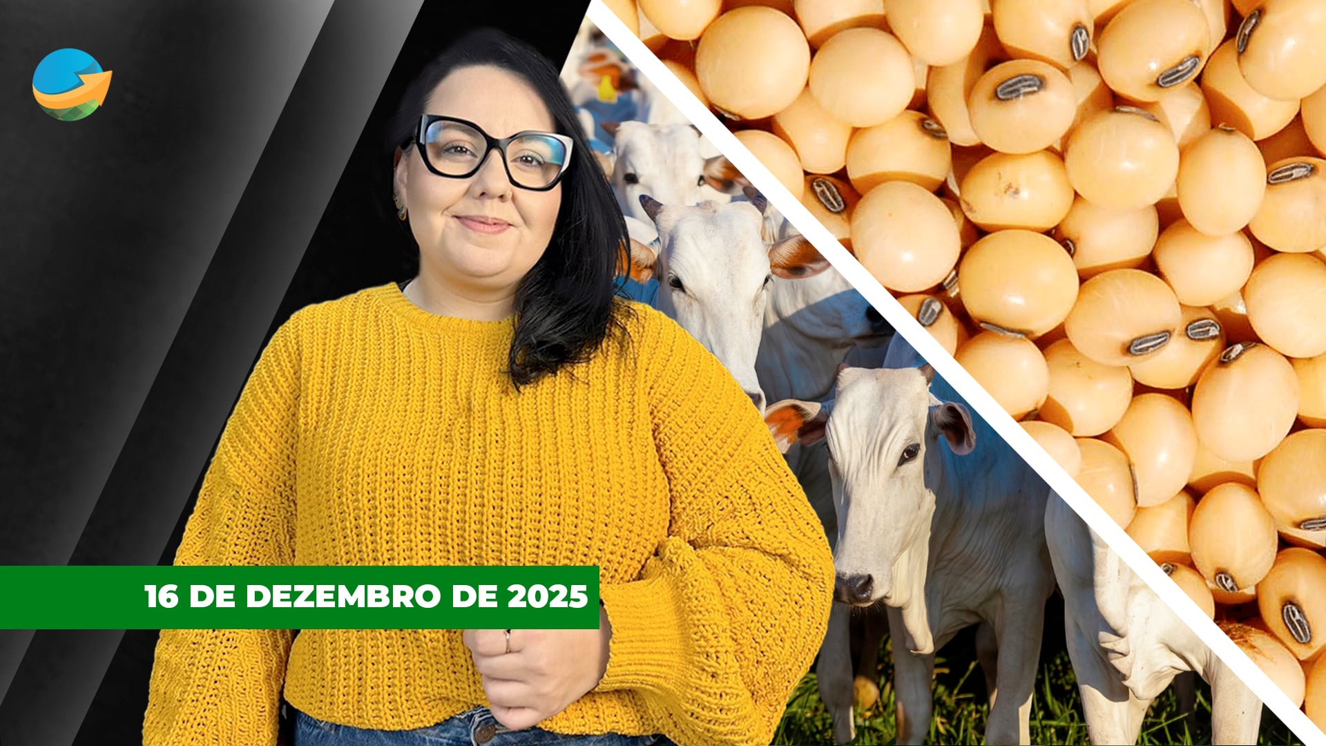 Soja tem novo dia de baixas fortes em Chicago e milho acompanha; café cede em NY e boi sobe na B3