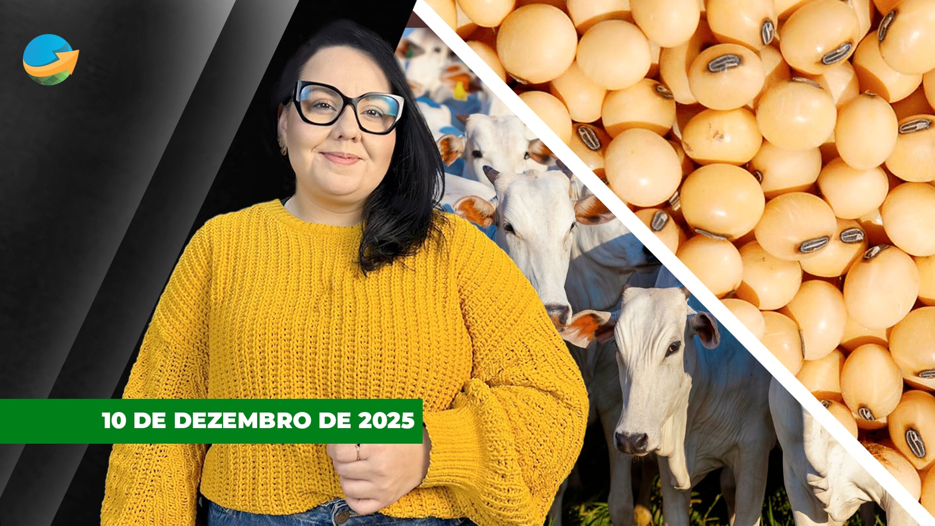 Milho perde forte na B3 nesta 4ª feira, enquanto soja tem leves ganhos em Chicago e físico do boi gordo fica estável