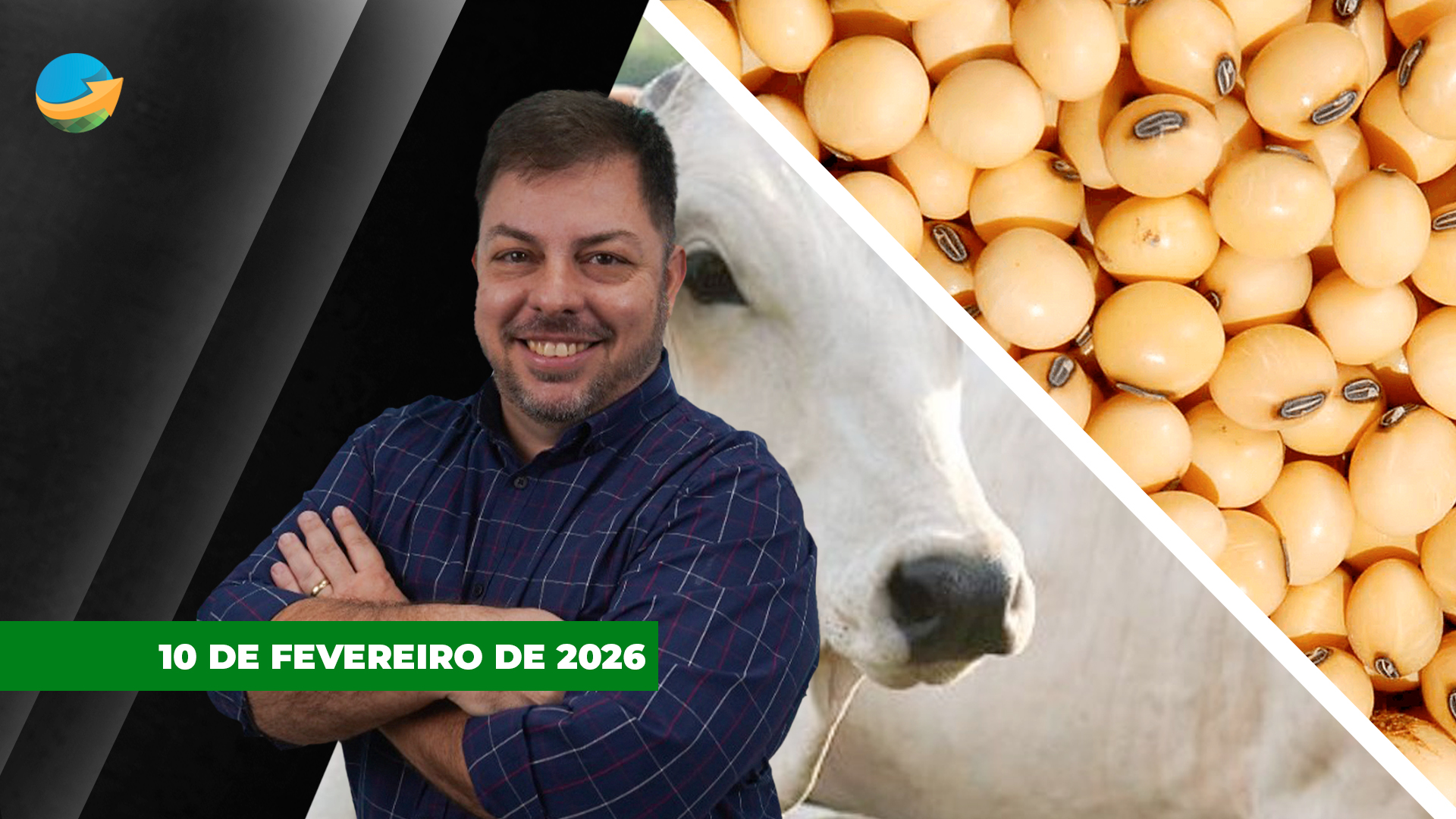 Soja em Chicago ignora USDA e fecha em alta com apoio do farelo: Boi e vaca sobem em SP