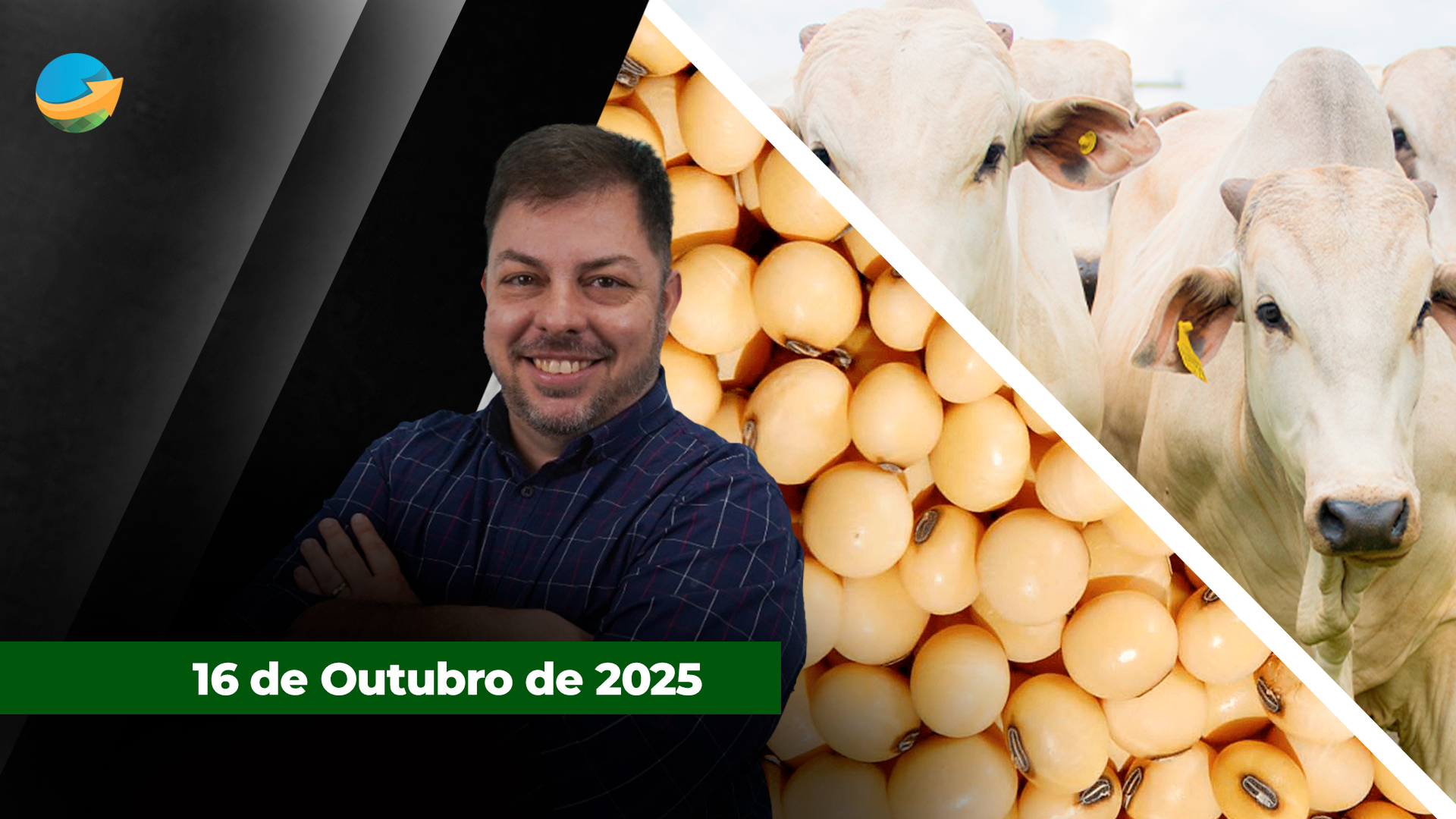 Esmagamento nos EUA sustenta alta da soja em Chicago; exportações fortes estimulam alta da novilha em SP