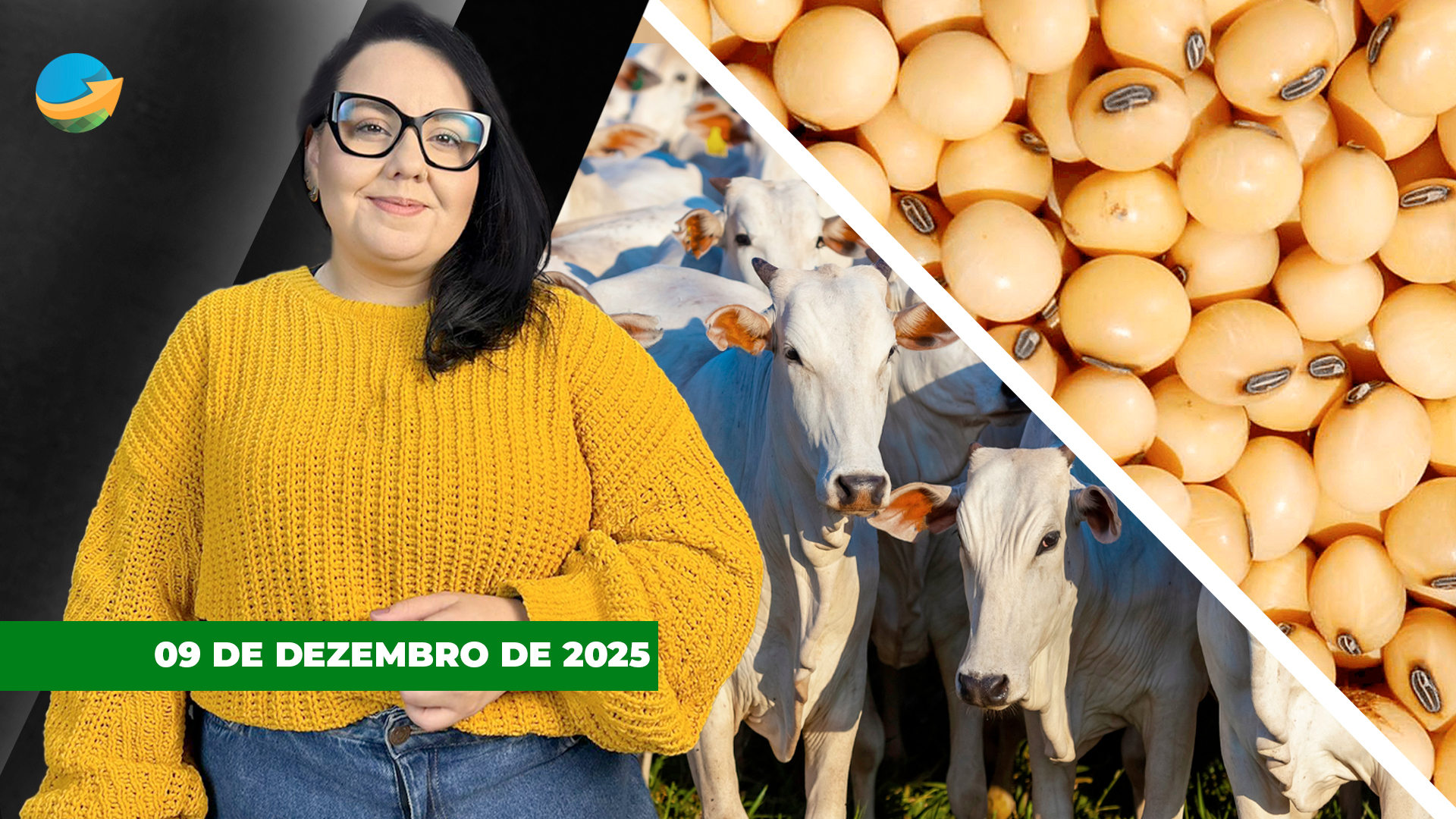 USDA pressiona soja, mas dá suporte ao milho na Bolsa de Chicago nesta 3ª; boi segue estável USDA pressiona soja, mas dá suporte ao milho na Bolsa de Chicago nesta 3ª; boi segue estável