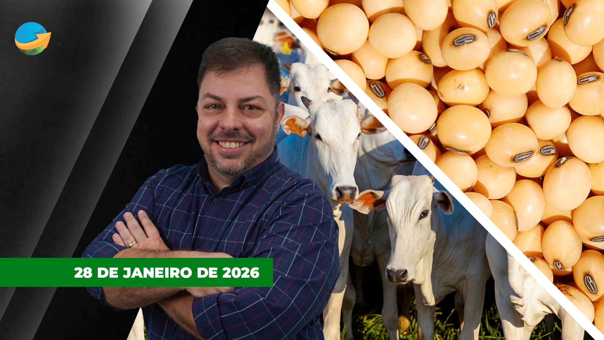 Boi gordo reage em SP e arroba pode buscar os R$330 no curto prazo; soja avança e se aproxima dos US$11/bushel em Chicago
