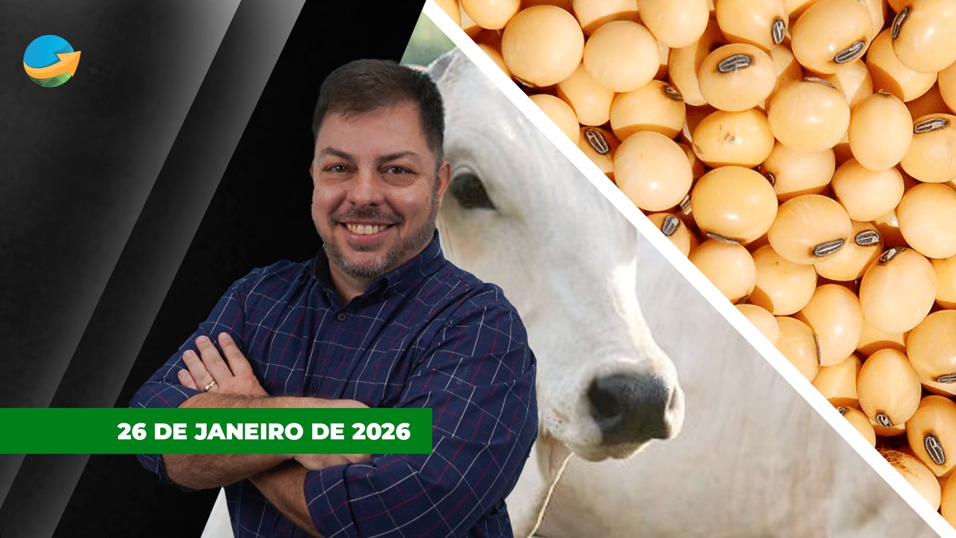 Soja cede em Chicago com pressão do farelo e no Brasil preços perdem referência dos R$100 por saca;  arroba do boi tem dia de completa estabilidade