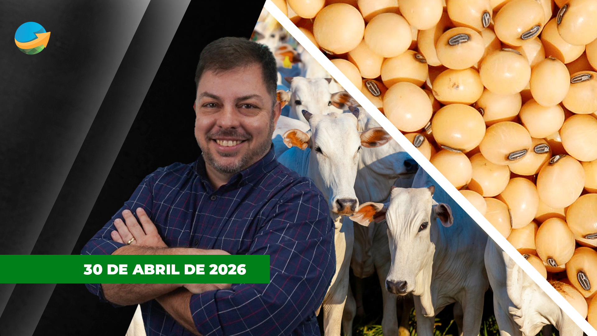 Arroba do boi recua na semana com melhor oferta de animais e alongamento das escalas; comercialização de soja no Brasil chega aos 60%