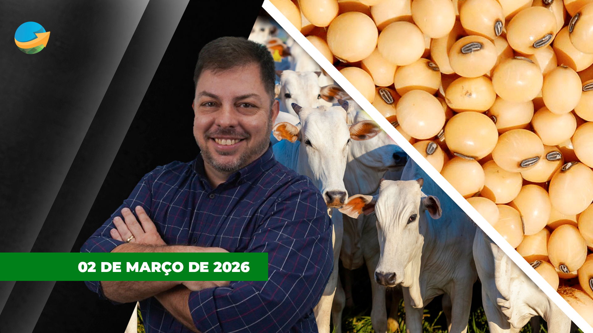 Arroba do boi inicia março subindo em SP mas com tendência de desaceleração; soja em Chicago recua com incerteza da demanda chinesa