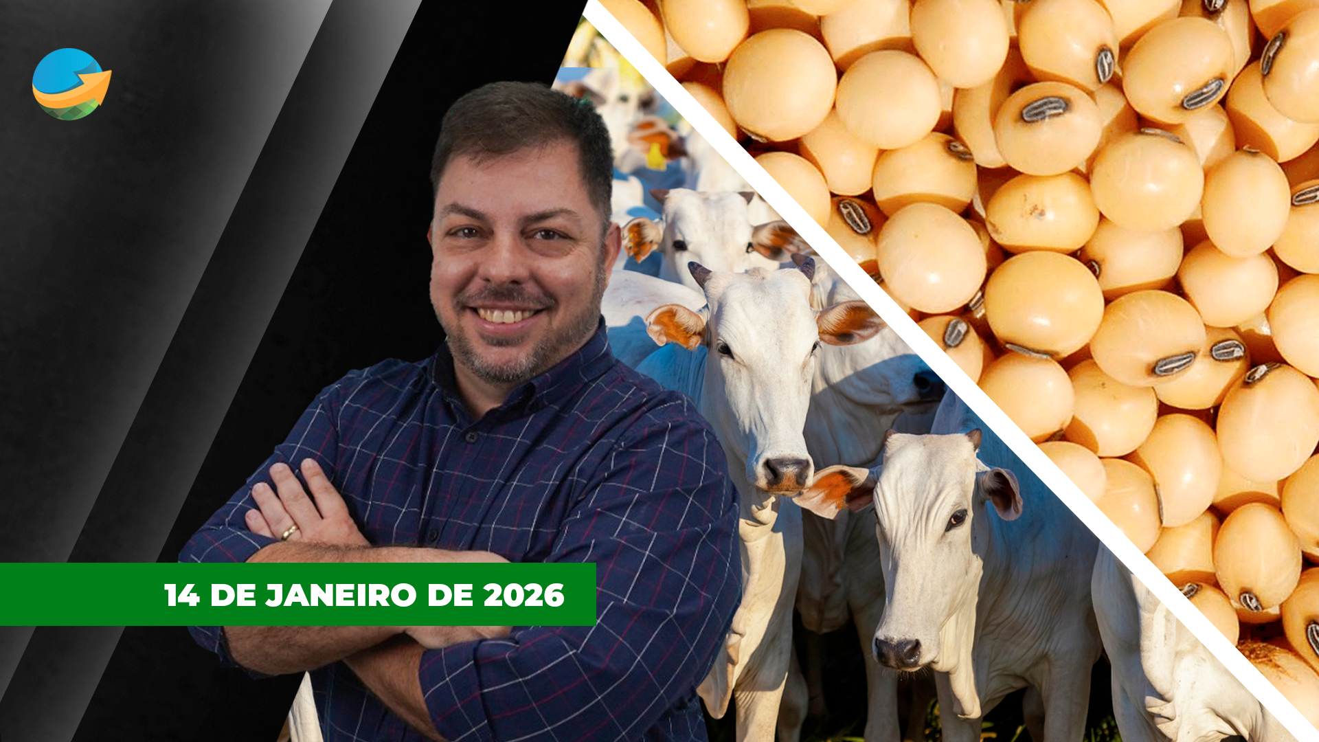 Soja ganha fôlego após perdas importantes, mas fundamentos ainda são negativos; mercado do boi vive queda de braços entre oferta e demanda