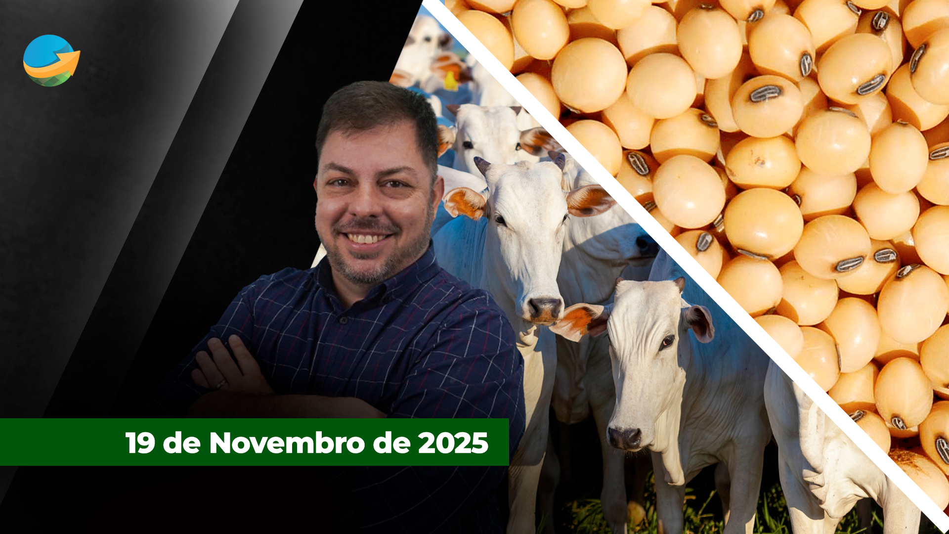 Soja tem mais um dia de queda forte em Chicago com recuos de até 1,5% nas cotações; mercado do boi gordo segue estável à espera de novidades da China