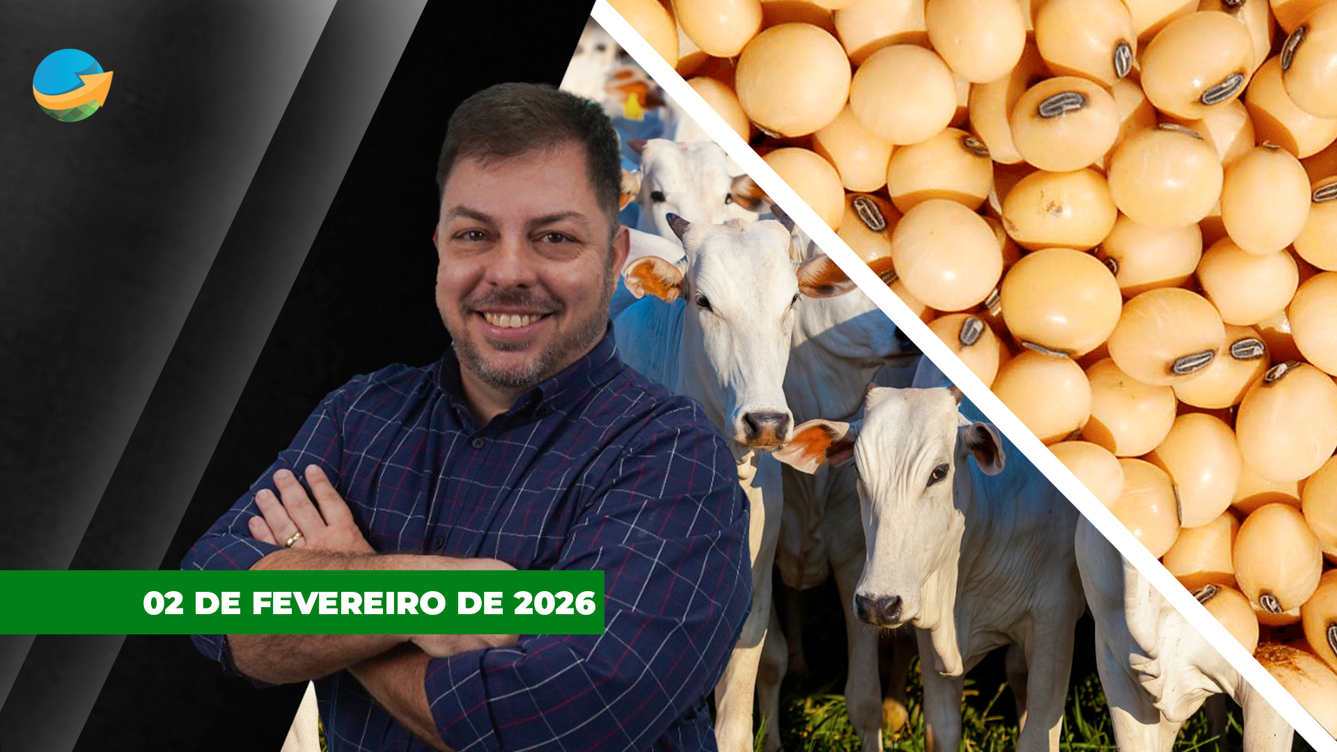 Fevereiro começa com alta na arroba do boi gordo ; soja recua em Chicago com pressão da safra brasileira
