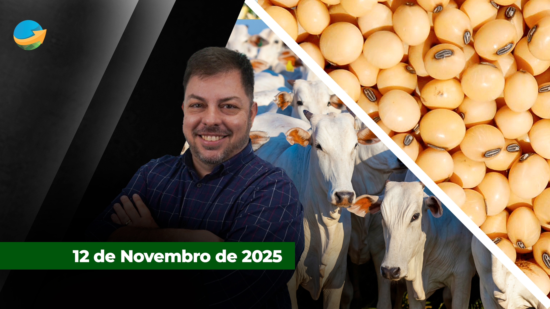 Soja em alta com expectativa de revisão da produção americana pelo USDA; vaca gorda sobe em SP com frigoríficos menores tentando alongar escalas