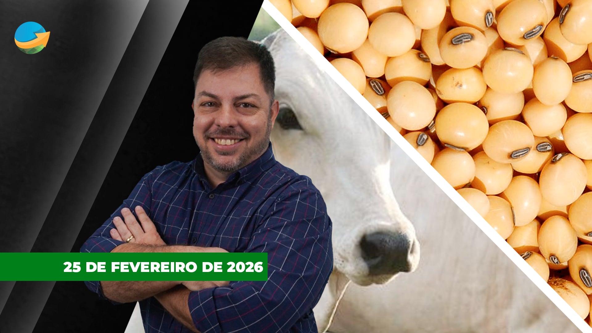 Alta da arroba tem fatores limitantes, mas trajetória é positiva para os preços; Soja sobe em Chicago com disparada do farelo