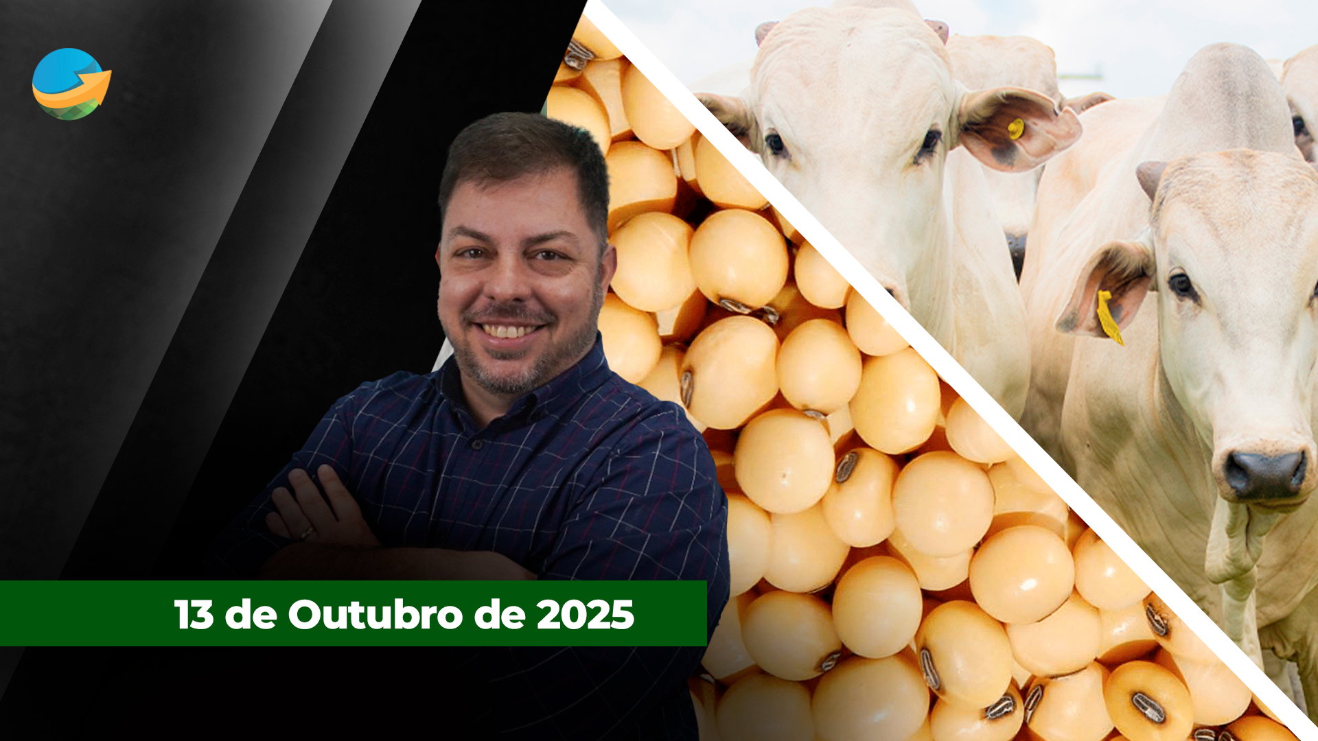 Soja tem leves altas após tom mais ameno de Trump sobre a China no final de semana; oferta de bois diminui em SP e dificulta negócios