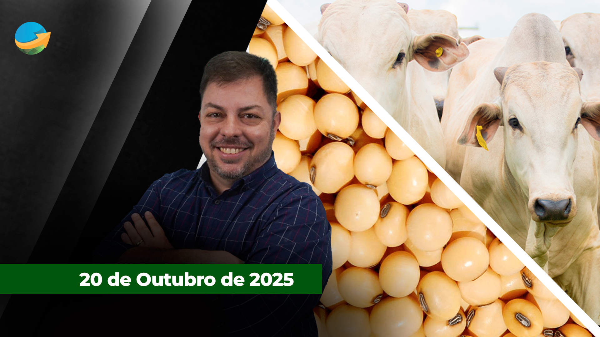 Semana começa com valorização das fêmeas em SP em novo movimento de alta da arroba; soja sobe com fala de Trump sobre China