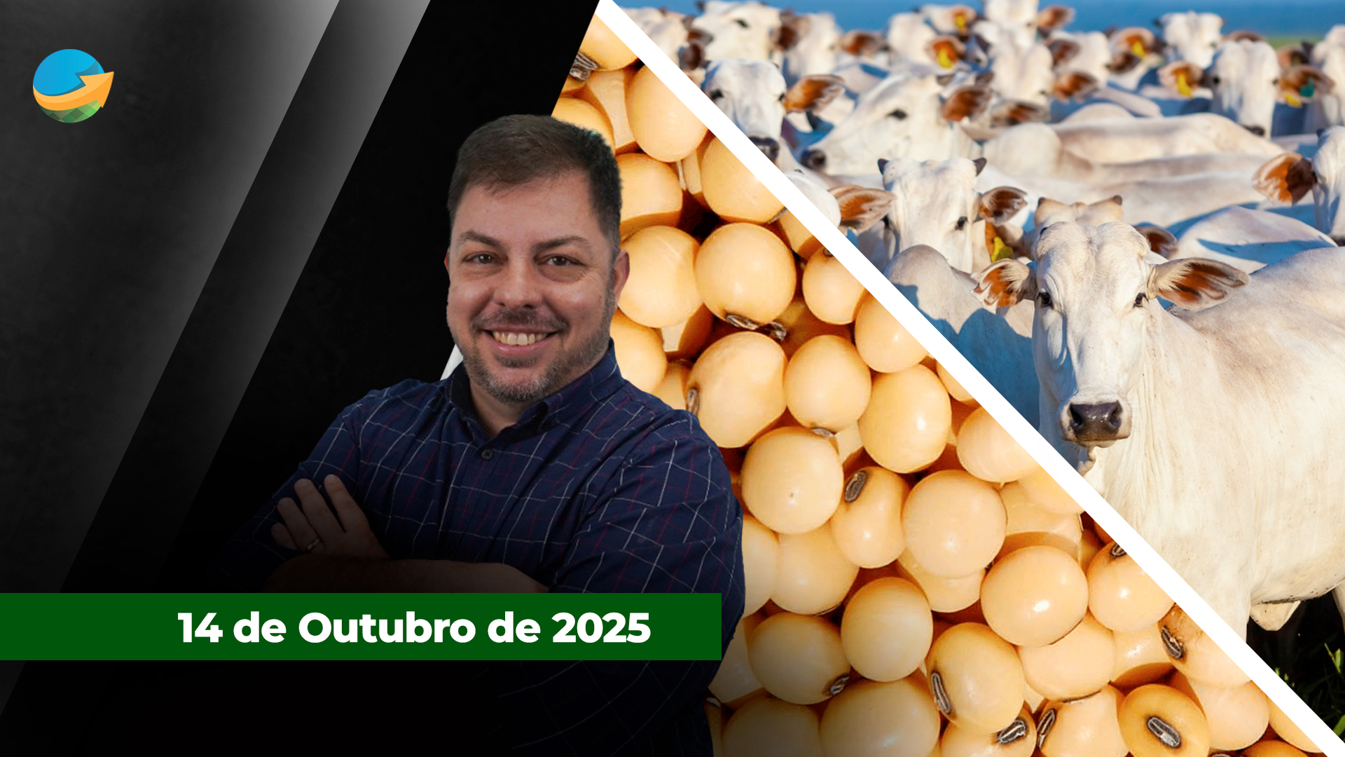 Prêmios de até 200 pontos estimulam vendas de 1 mi/t de soja em dois dias no BR; Boi estável em SP, mas movimento de alta já acontece em MG, MS e MT;