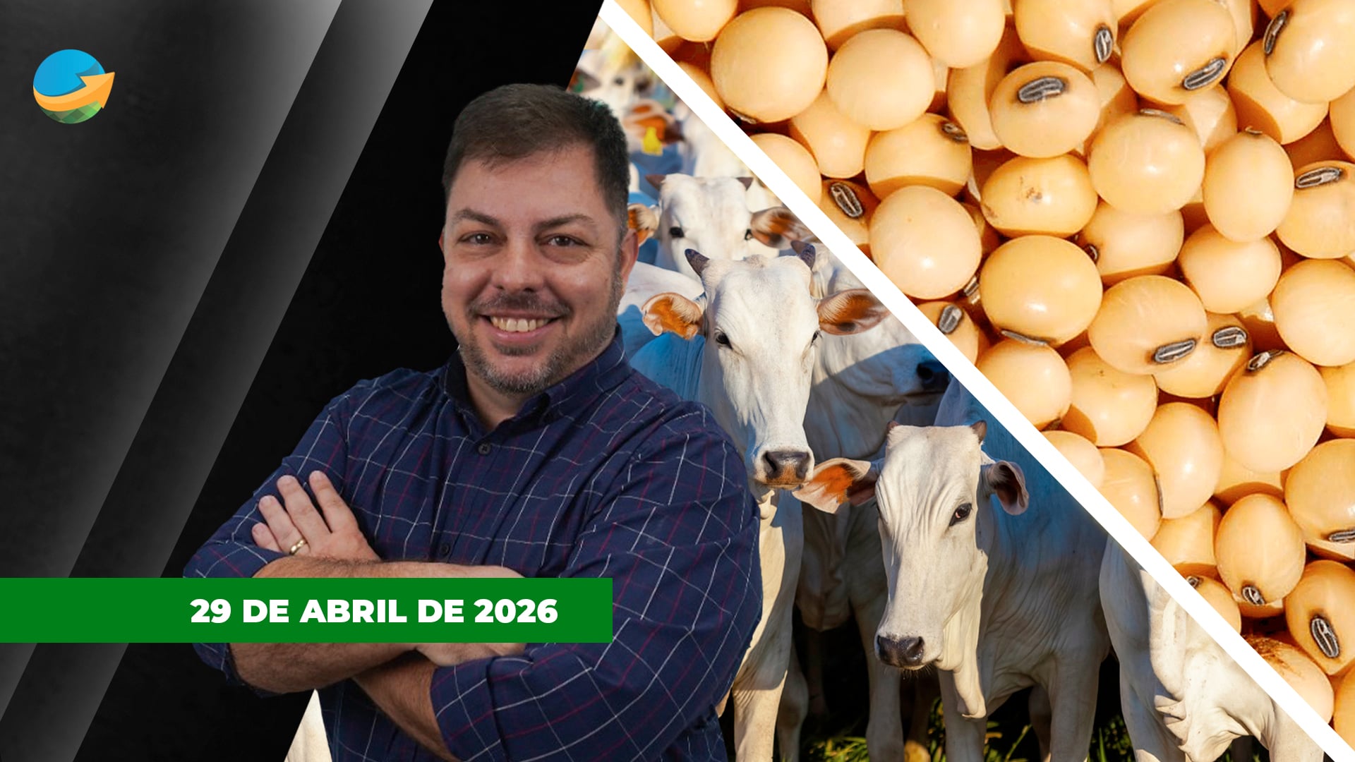 Soja sobe em Chicago puxada pelo óleo, mas no Brasil cotações não mudam; arroba do boi tem nova rodada de baixa