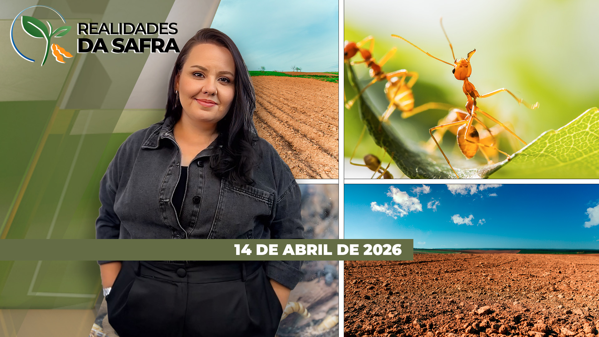 REALIDADES DA SAFRA - EDIÇÃO 14/04/2026