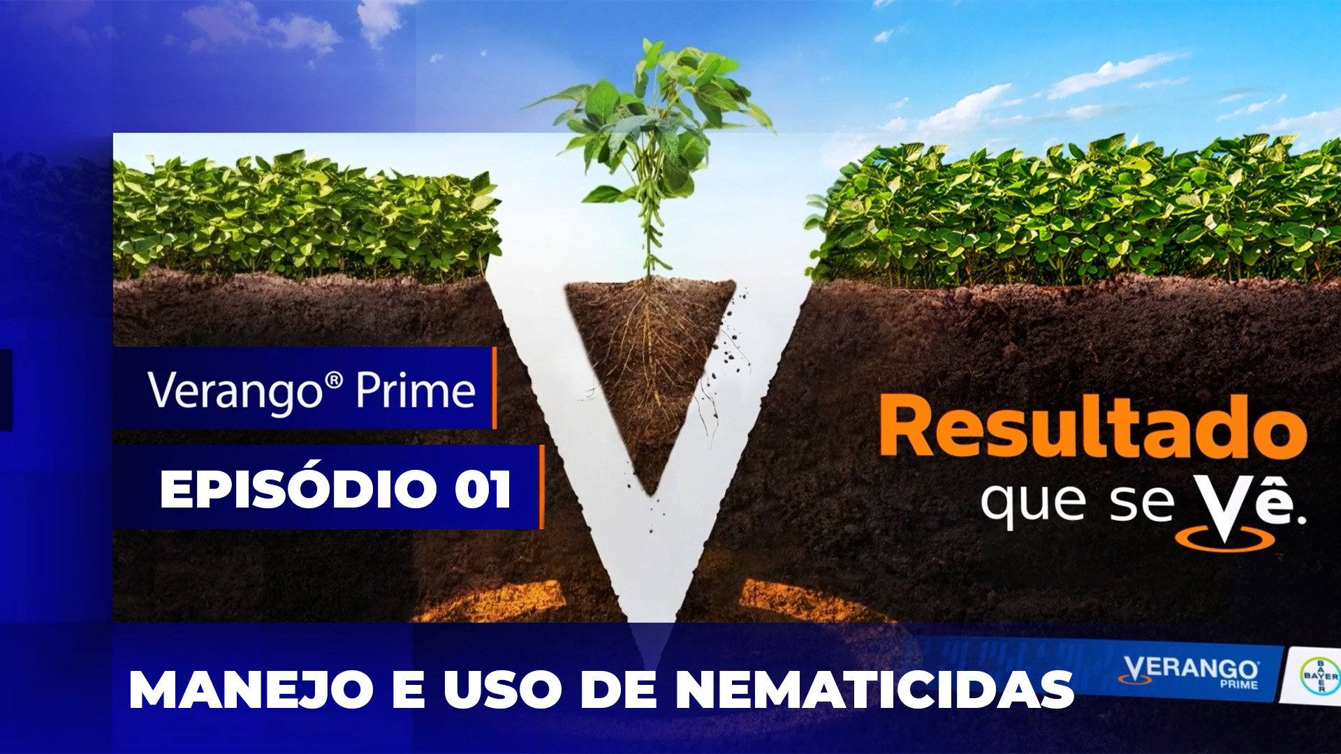 A combinação de químicos e biológicos no controle de nematoides