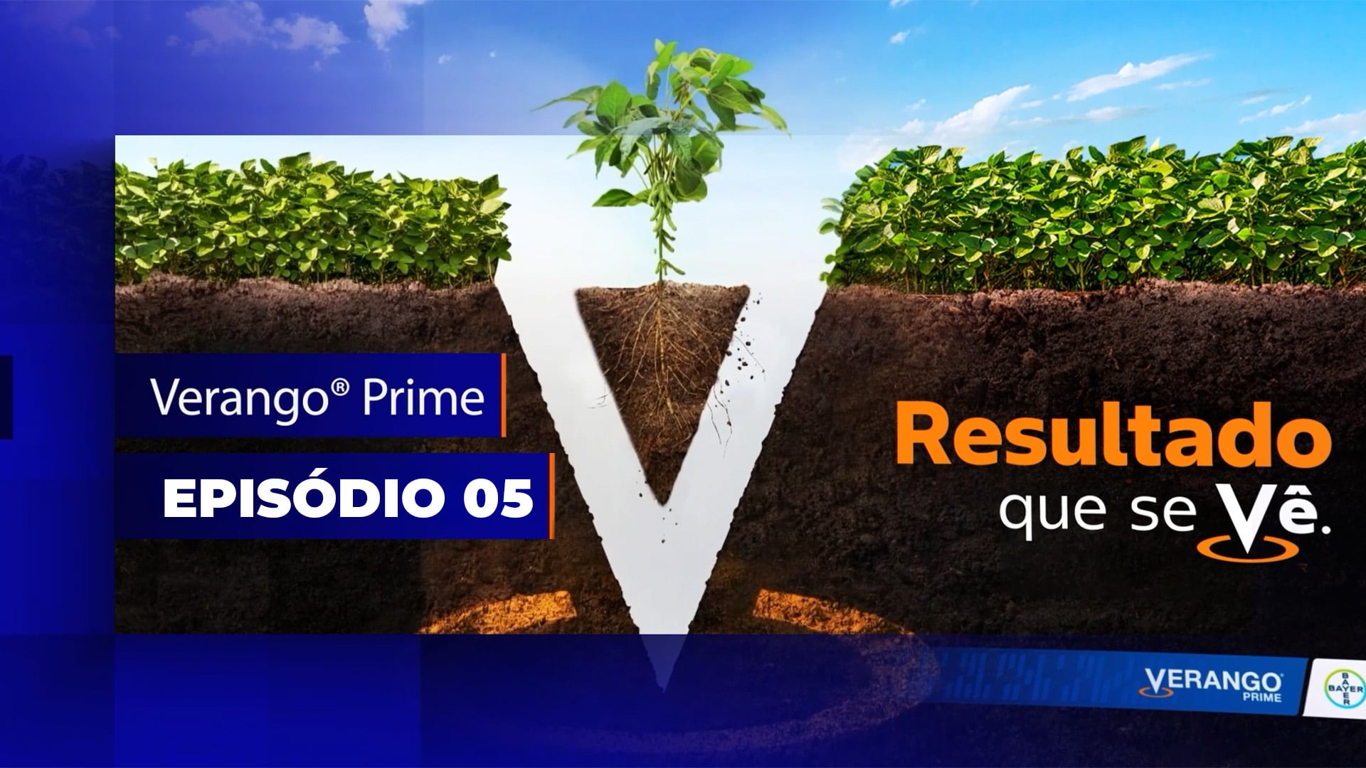 Bayer Verango - Episódio 5: Resultados de campo: números que falam mais alto Bayer Verango - Episódio 5: Resultados de campo: números que falam mais alto